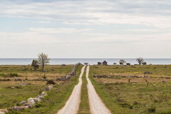 Bibikow, Walter 아티스트의 Sweden-Gotland Island-Sundre-country road-southern Gotland작품입니다.